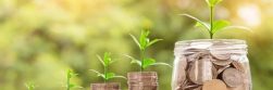 How to Save Money in your Business
