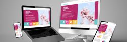 5 Tips on Website Design: What Makes a Website More Professional in Houston?