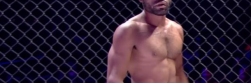 "How to Use Reddit MMA Streams for Free Fight Night Action"