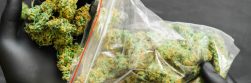 Affordable Canadian Websites for Buying Weed