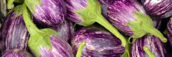 Eggplant, fruit, vegetables — Exploring Unique Minecraft Minigame Servers