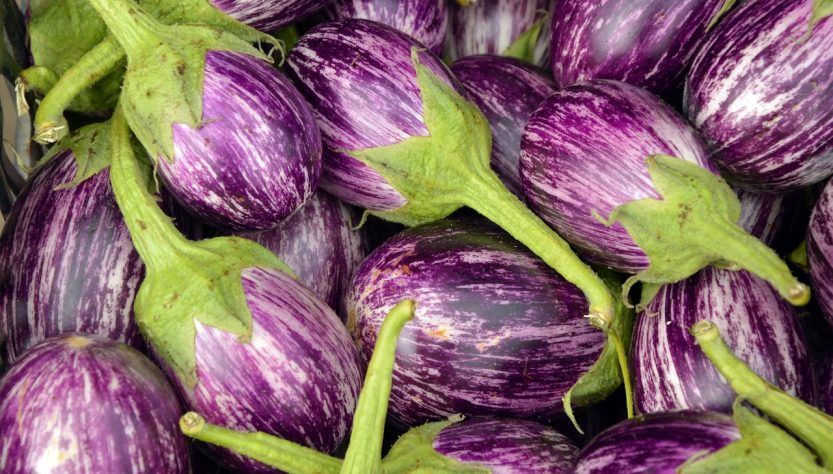Eggplant, fruit, vegetables — Exploring Unique Minecraft Minigame Servers