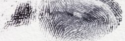 Fingerprint, dactylogram, papillary ridges — How to Find the Best Patent Attorney Near Me: Tips for Inventors