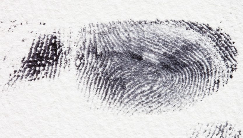 Fingerprint, dactylogram, papillary ridges — How to Find the Best Patent Attorney Near Me: Tips for Inventors
