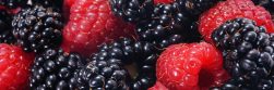 Raspberries and blackberries, forest fruits, closeup — Pharmaqo Labs: Cutting-Edge Formulations for Peak Performance