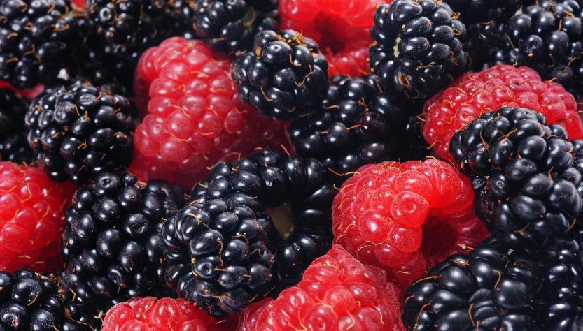 Raspberries and blackberries, forest fruits, closeup — Pharmaqo Labs: Cutting-Edge Formulations for Peak Performance