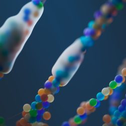 targeted genomic integration