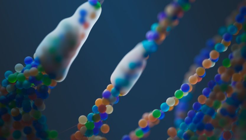 targeted genomic integration
